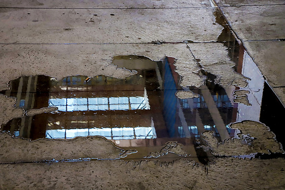 Puddle Reflections