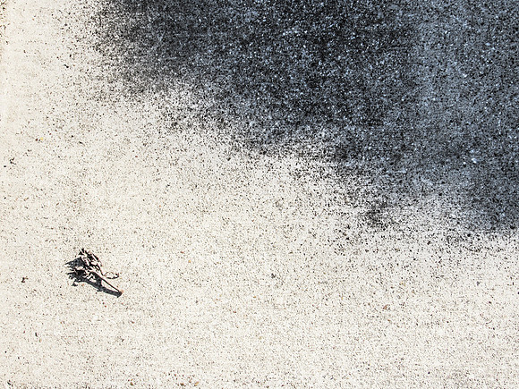 concrete Shadows